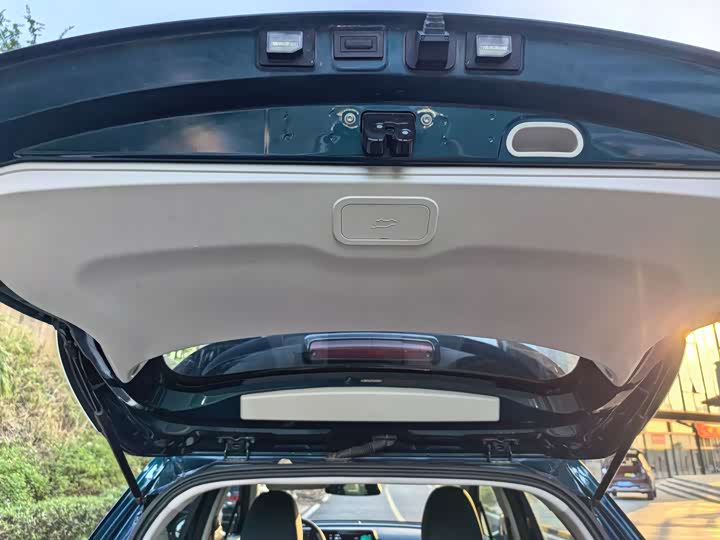 Фото 24 - Ora Good Cat (03)