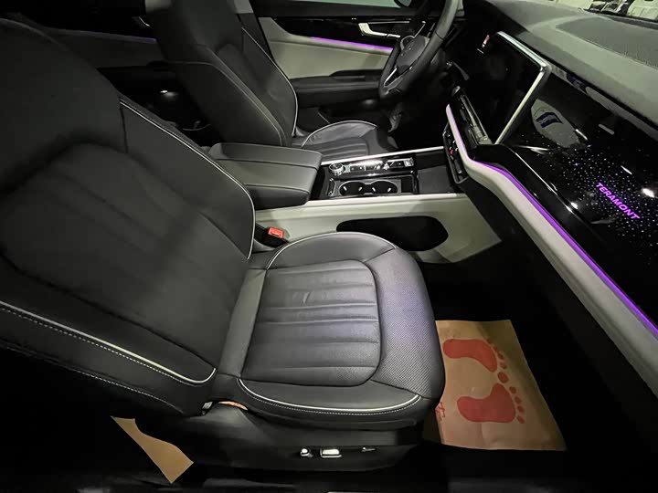 Фото 11 - Volkswagen Teramont Pro