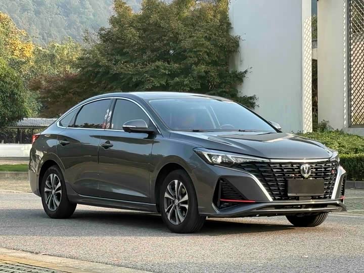 Фото 3 - Changan Eado Plus