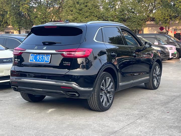 Фото 6 - Hongqi HS5