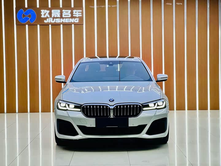 Фото 2 - BMW 5 Series Hybrid