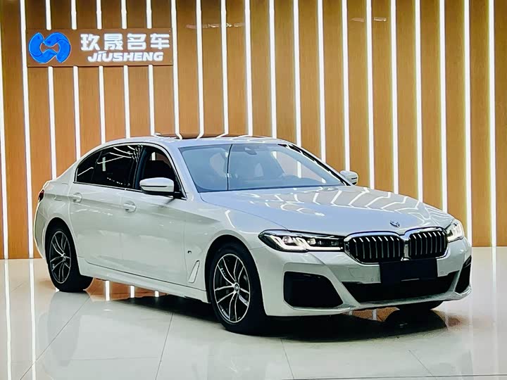 Фото 3 - BMW 5 Series Hybrid