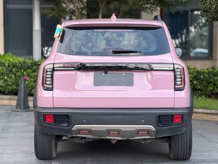 Фото 10 - Haval Dargo