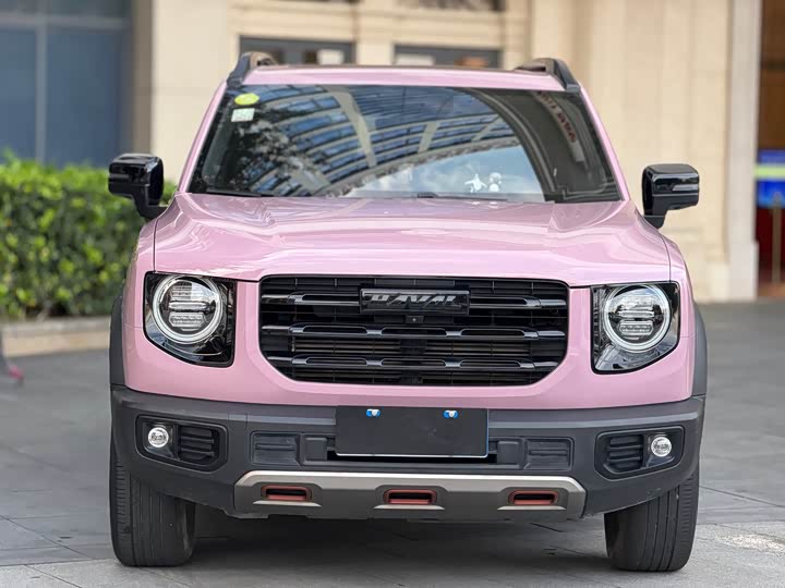 Фото 3 - Haval Dargo