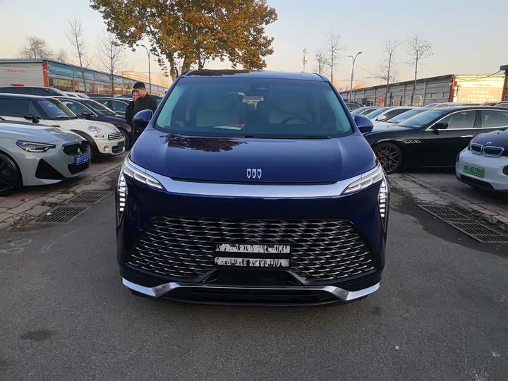 Фото 2 - Buick GL8 Century