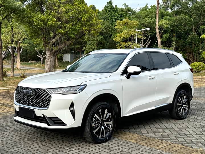 Фото 1 - Haval H6
