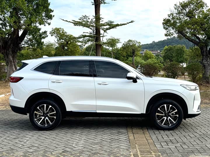 Фото 10 - Haval H6