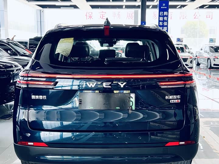 Фото 8 - Wey Latte DHT Hybrid