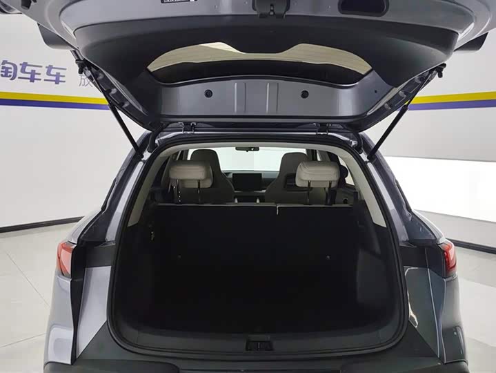 Фото 4 - BYD Yuan Up