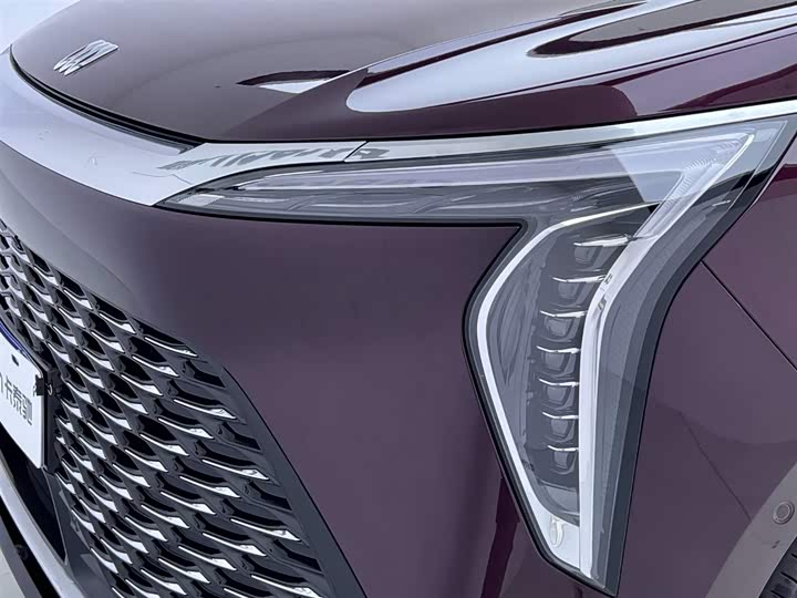 Фото 14 - Buick GL8 Century