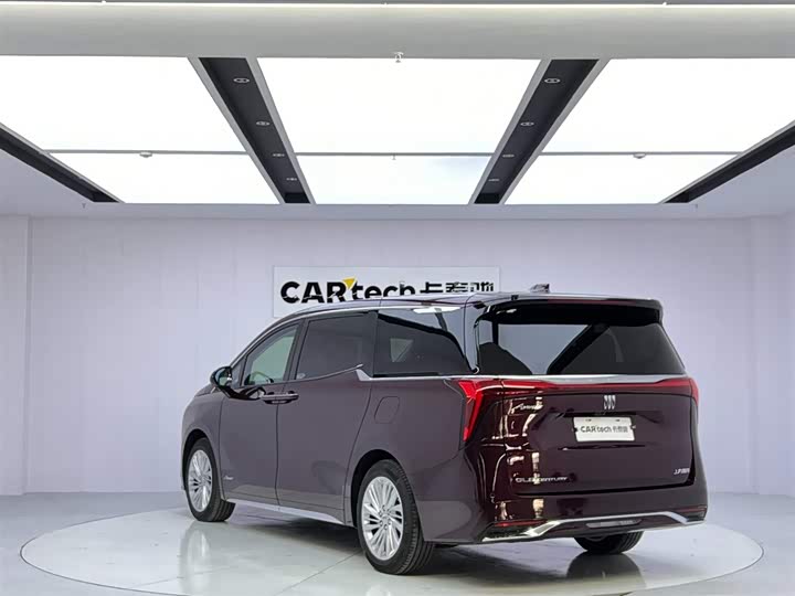 Фото 3 - Buick GL8 Century