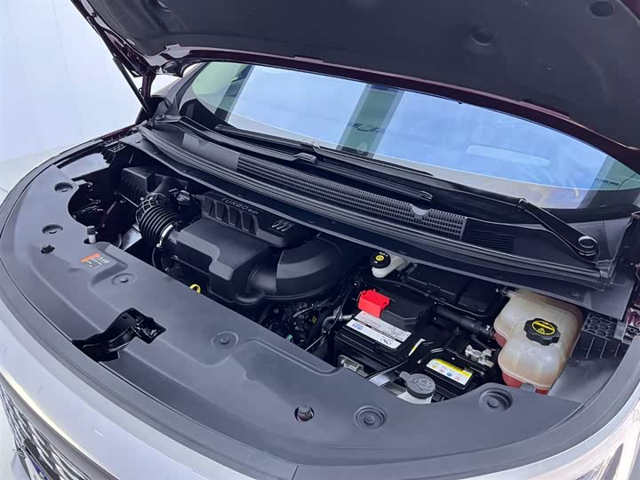 Фото 33 - Buick GL8 Century