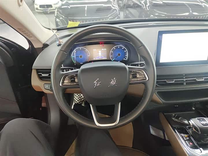 Фото 11 - Hongqi E-QM5