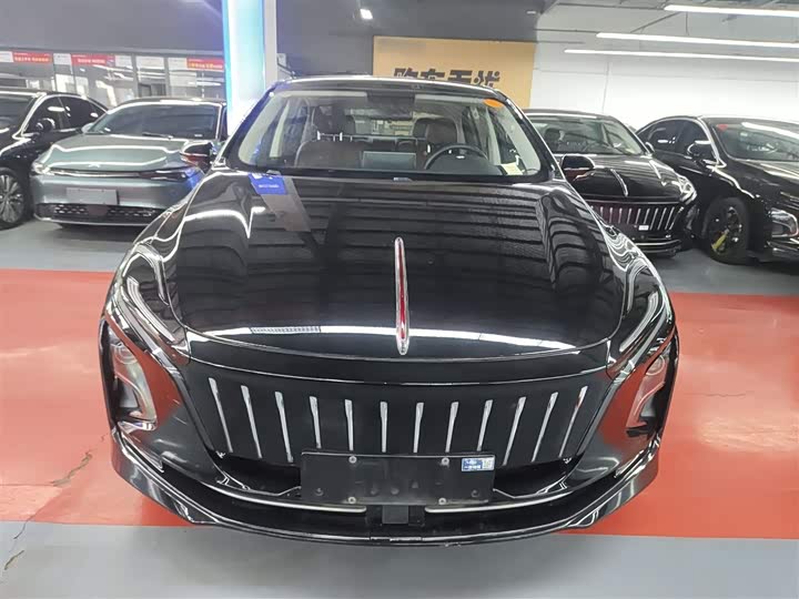 Фото 3 - Hongqi E-QM5