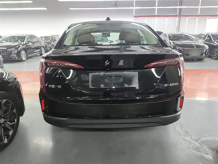 Фото 6 - Hongqi E-QM5