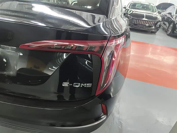 Фото 8 - Hongqi E-QM5