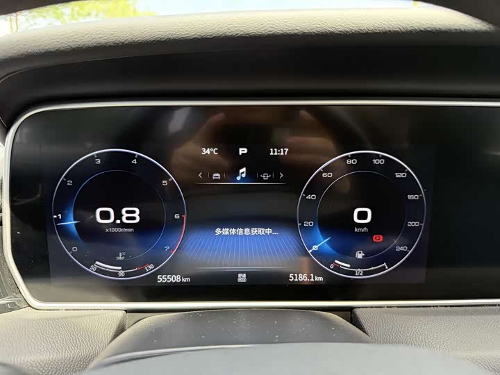 Фото 7 - Hongqi HS5