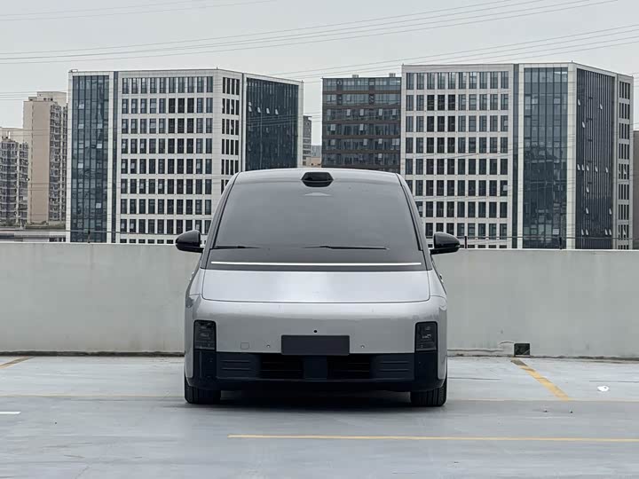 Фото 3 - LiXiang Mega