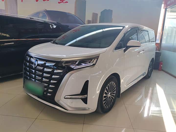 Фото 1 - Denza D9