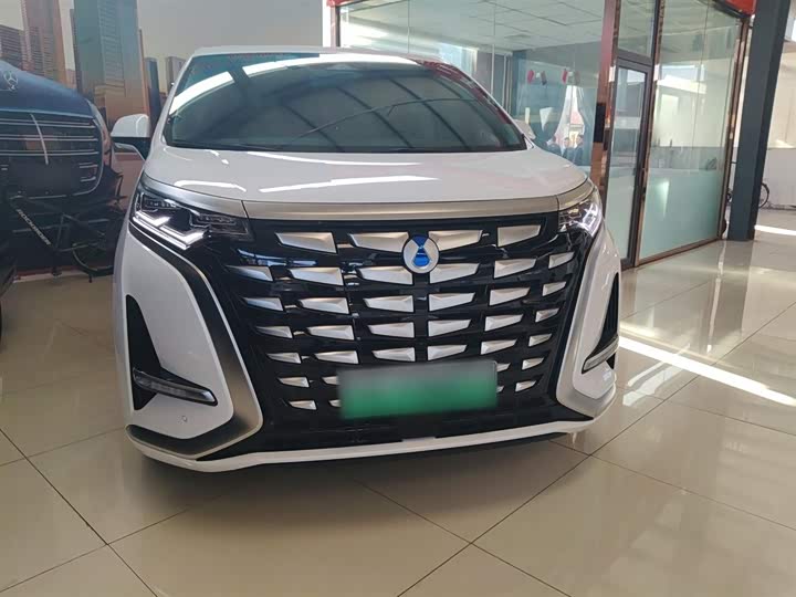 Фото 3 - Denza D9