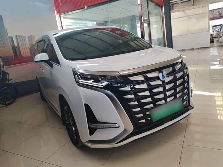 Фото 4 - Denza D9