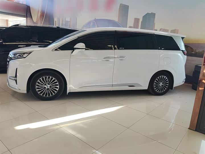 Фото 5 - Denza D9