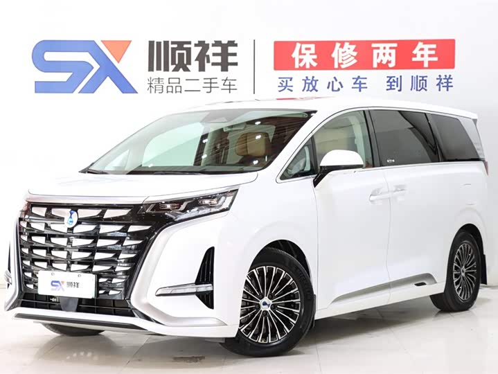 Фото 1 - Denza D9