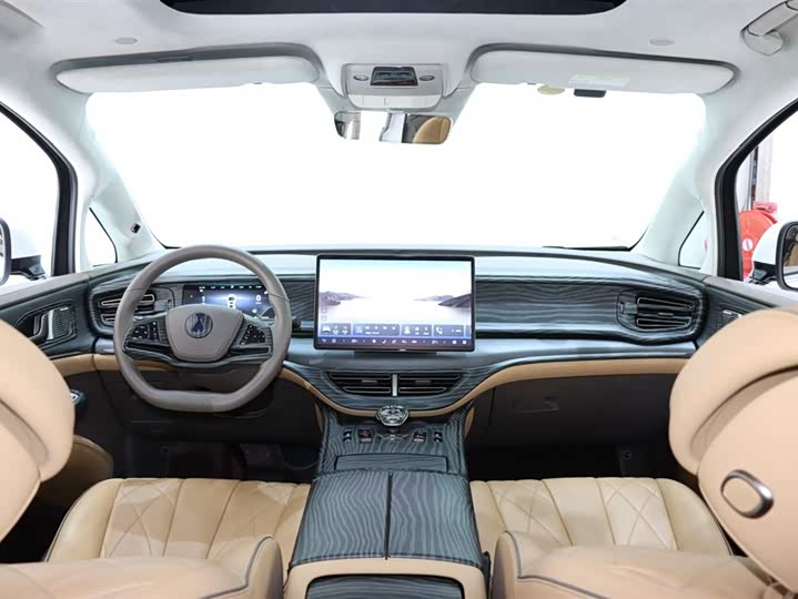 Фото 13 - Denza D9