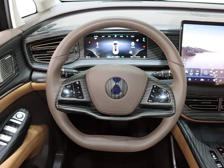 Фото 15 - Denza D9