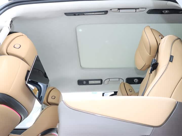 Фото 18 - Denza D9