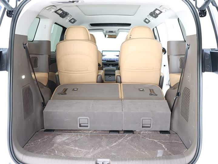 Фото 19 - Denza D9