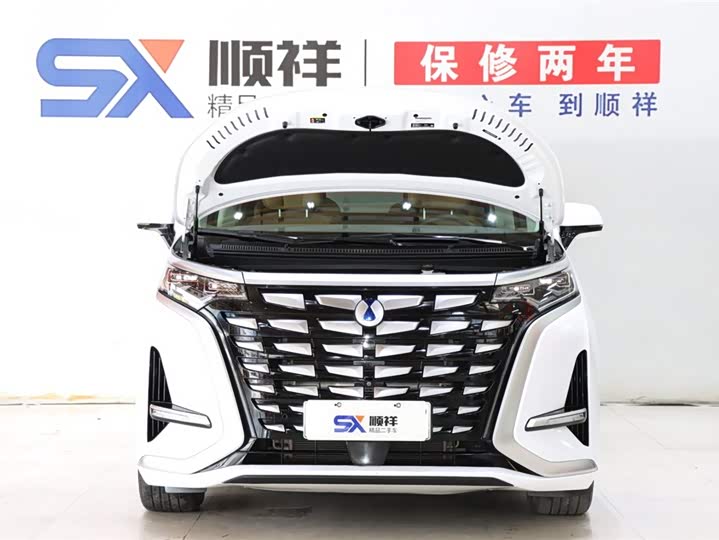 Фото 20 - Denza D9