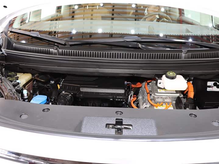 Фото 21 - Denza D9