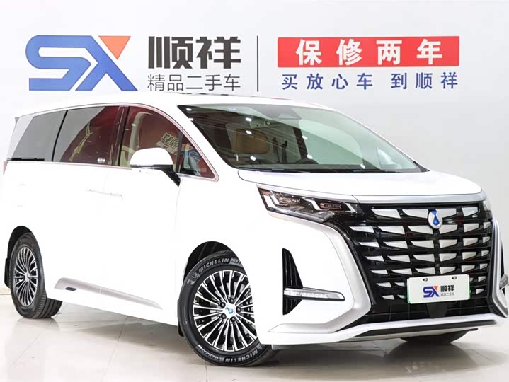 Фото 3 - Denza D9