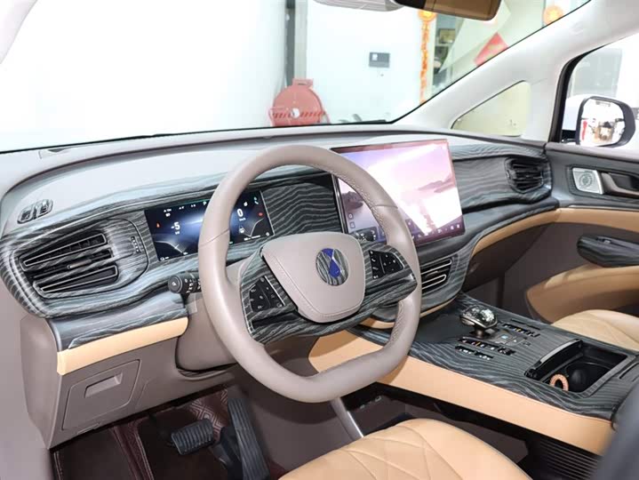 Фото 9 - Denza D9