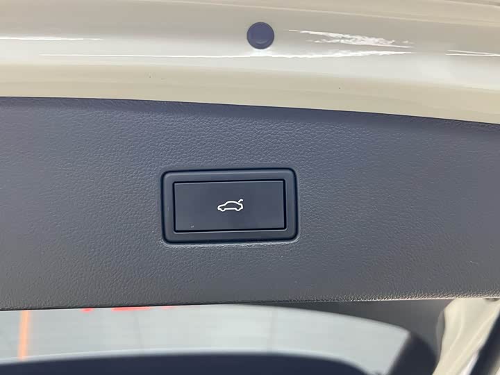 Фото 30 - Volkswagen Tiguan L Pro