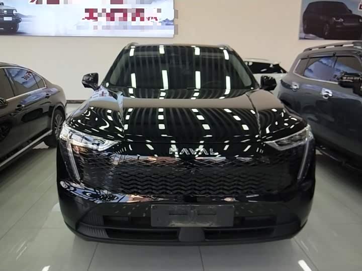 Фото 3 - Haval Ruge Max