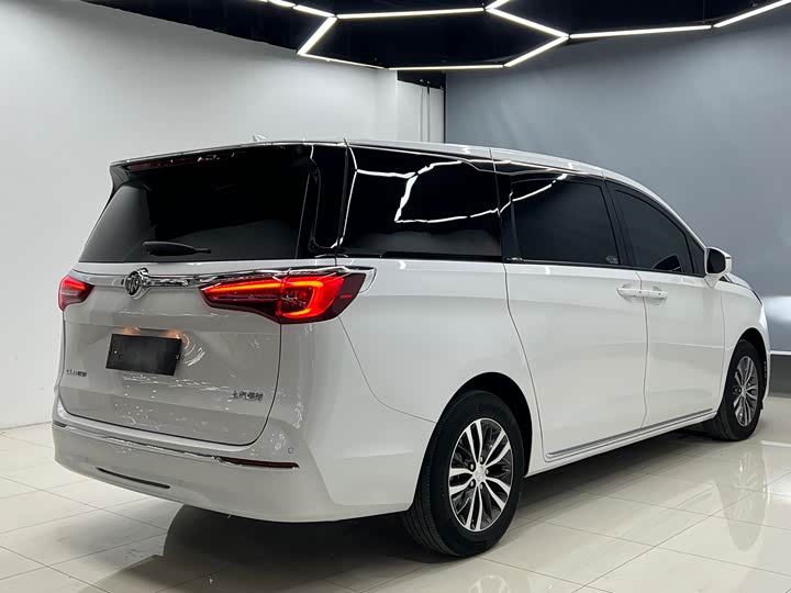 Фото 14 - Buick GL8 ES