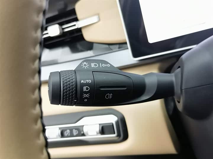 Фото 21 - Geely Icon