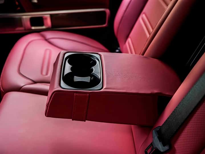 Фото 38 - Mercedes-Benz G-Class