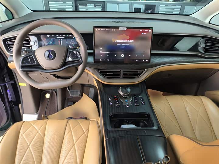 Фото 10 - Denza D9