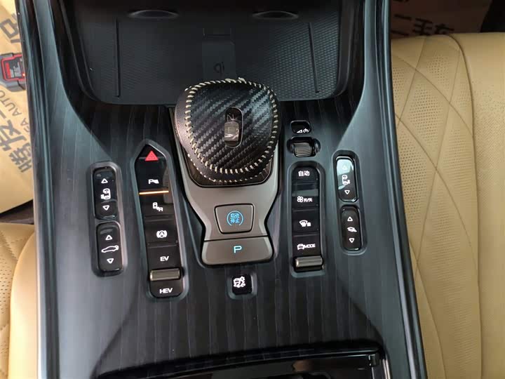 Фото 14 - Denza D9