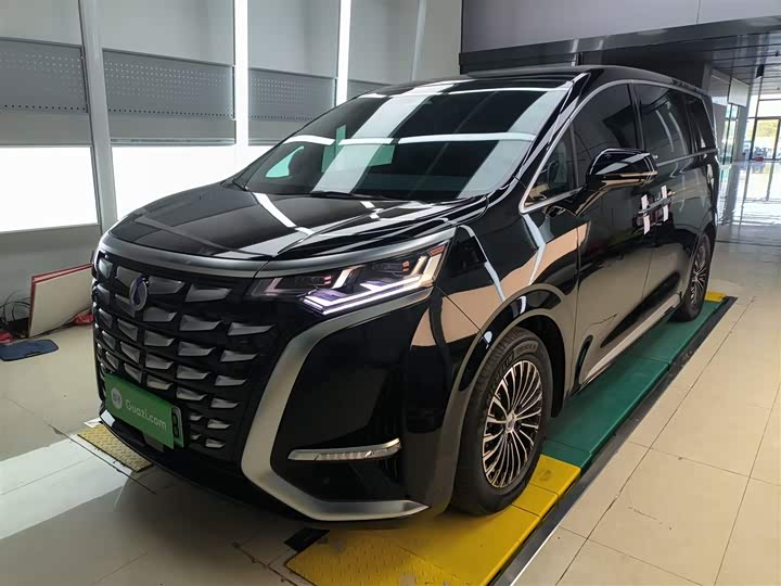 Фото 2 - Denza D9