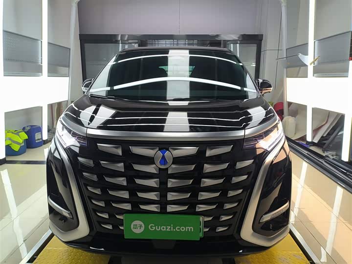 Фото 3 - Denza D9