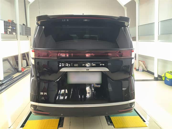 Фото 6 - Denza D9