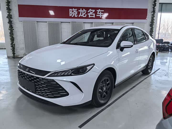 Фото 1 - BYD Qin Plus