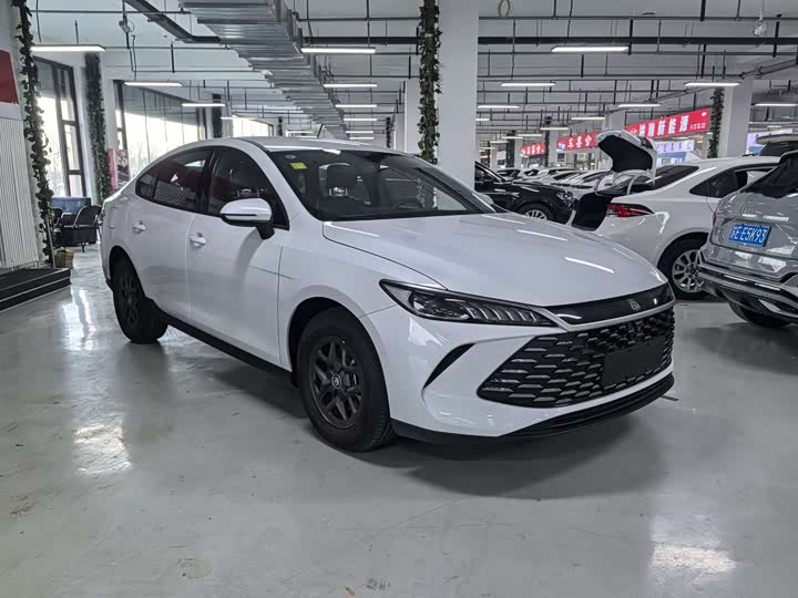 Фото 3 - BYD Qin Plus