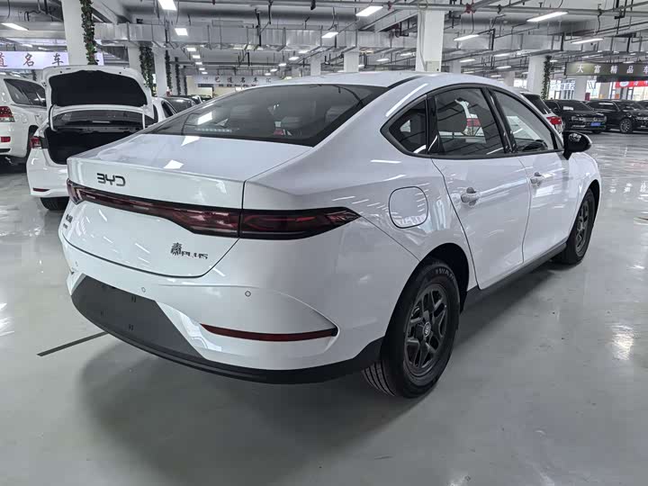 Фото 4 - BYD Qin Plus