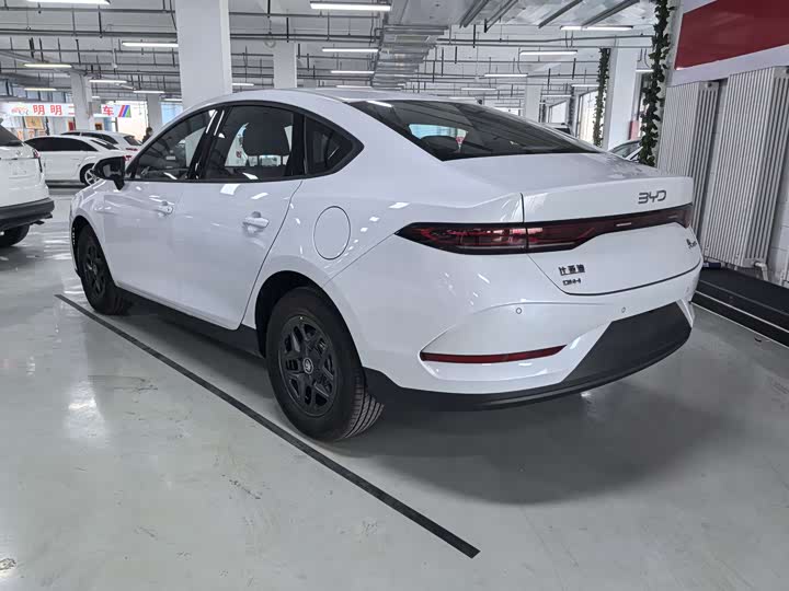 Фото 6 - BYD Qin Plus