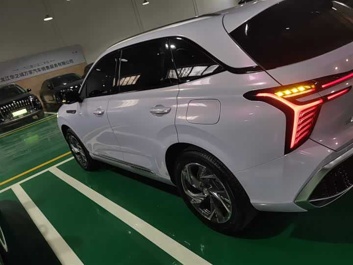 Фото 5 - Hongqi HS3 Hybrid